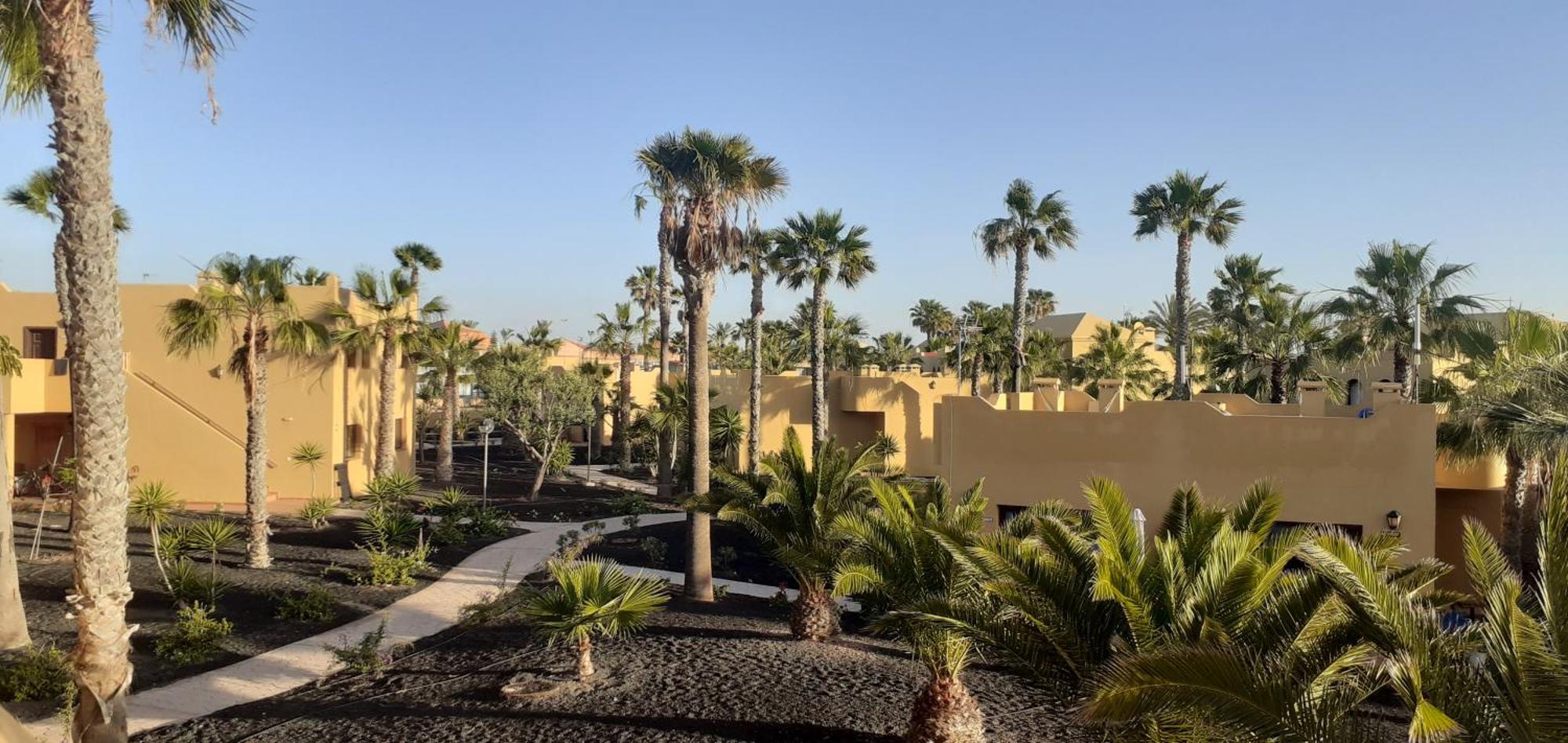 Oasis Waves House Papagayo Leilighet Corralejo Eksteriør bilde