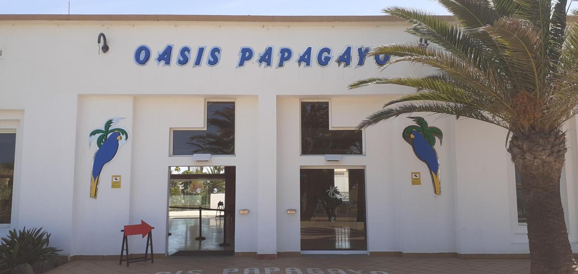 Oasis Waves House Papagayo Leilighet Corralejo Eksteriør bilde